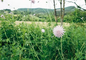 Mindfulness - Ses Stappe tot die Vreugde van Volbewus-wees