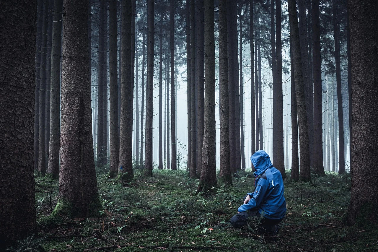 A Survival Course years ago, Mindfulness, Lock-Down, Survival, and asking us to Lean In