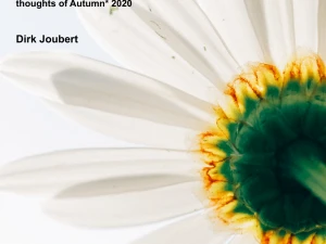 Mindfulness Poetry - a Lightness of Being